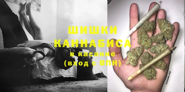 трава Бронницы