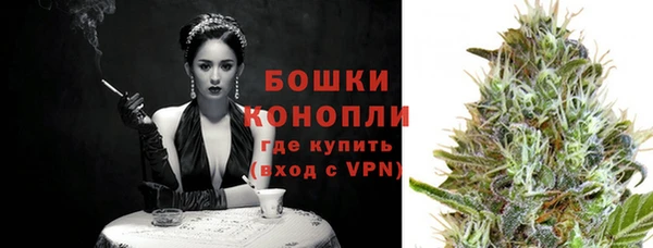 spice Бородино