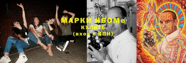 spice Бородино